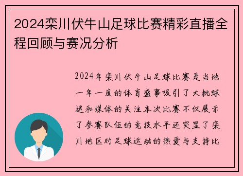 2024栾川伏牛山足球比赛精彩直播全程回顾与赛况分析